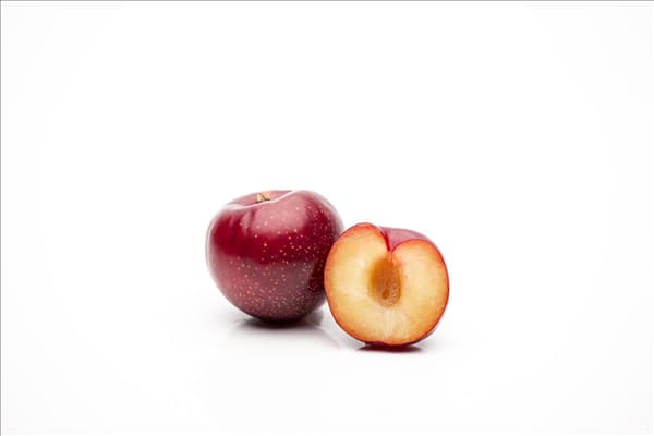 Prunus domestica