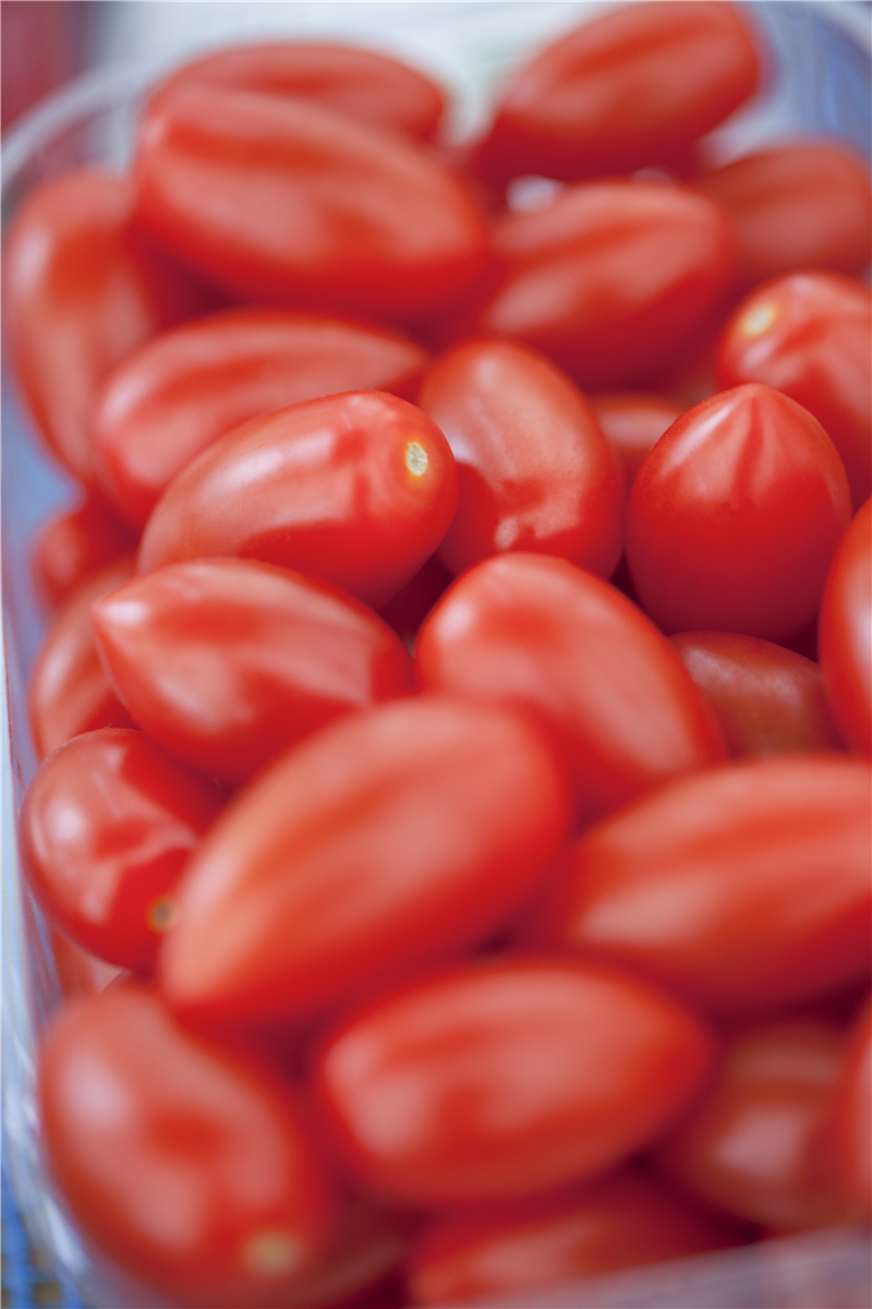 Solanum lycopersicum 'San Marzano'