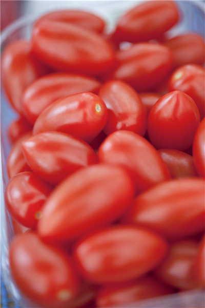 Solanum lycopersicum 'San Marzano'