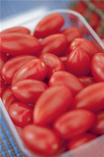 Solanum lycopersicum 'San Marzano'