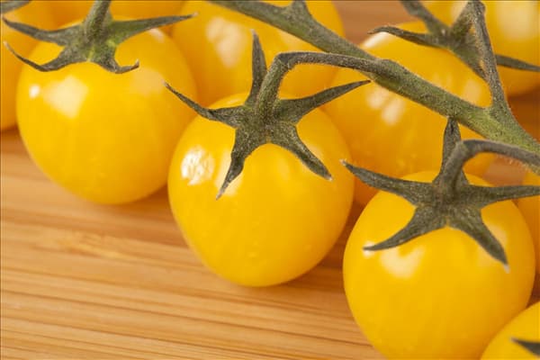 Solanum lycopersicum var. cerasiforme