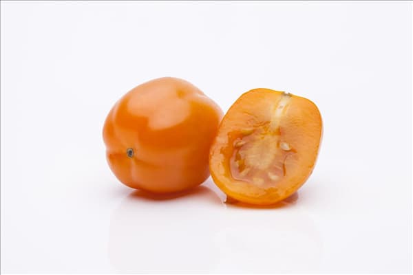 Solanum lycopersicum var. cerasiforme