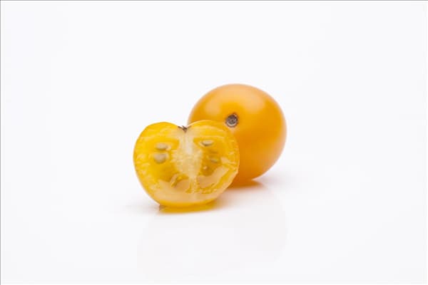 Solanum lycopersicum var. cerasiforme