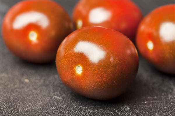 Solanum lycopersicum var. cerasiforme