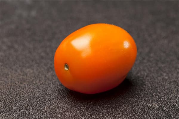 Solanum lycopersicum var. cerasiforme