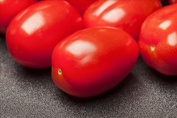 Solanum lycopersicum var. cerasiforme