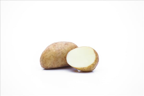 Solanum tuberosum