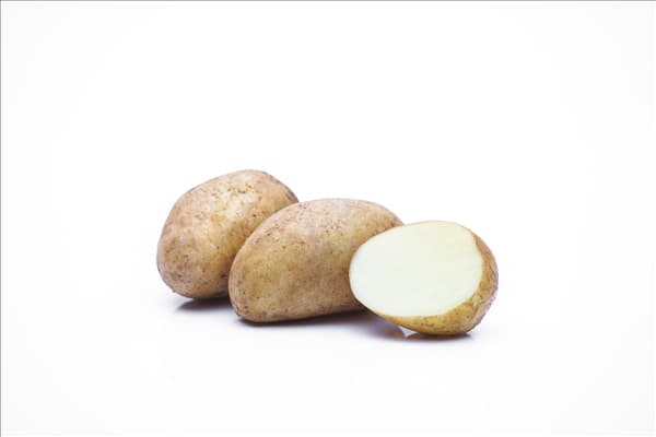 Solanum tuberosum