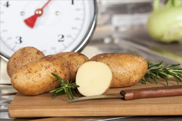 Solanum tuberosum