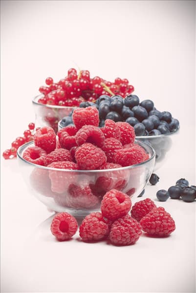 Rubus idaeus
