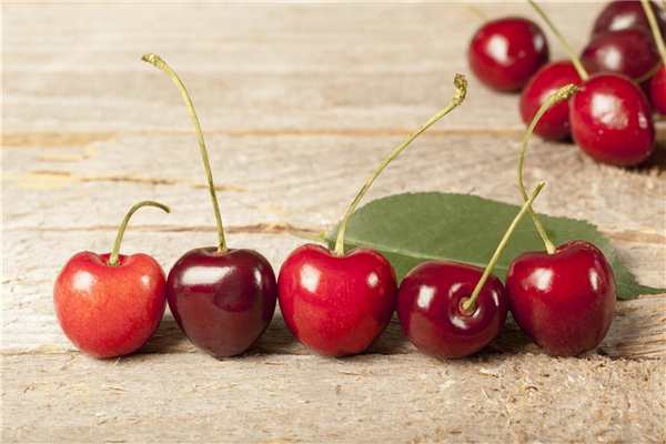 Prunus avium