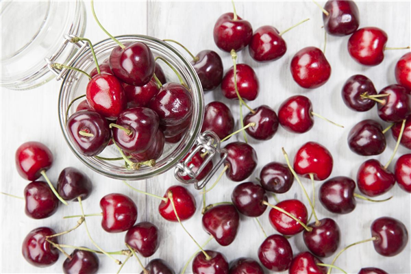 Prunus avium