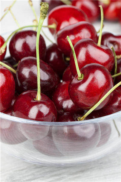 Prunus avium
