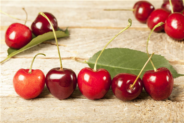 Prunus avium