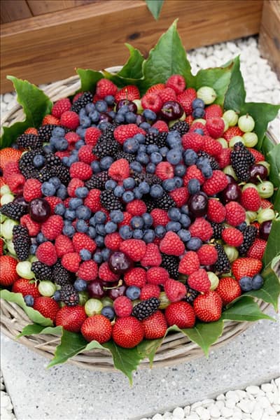Beeren Mischung im Korb
