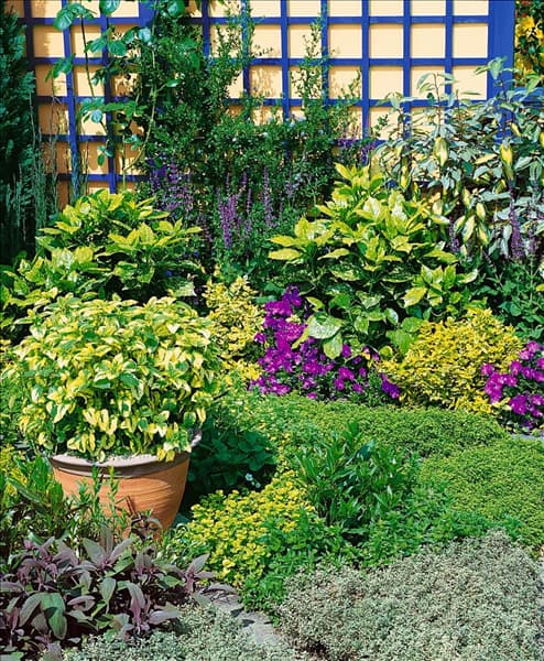 Staudengarten / Bodendecker