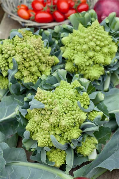 Brassica oleracea var. botrytis Romanesco