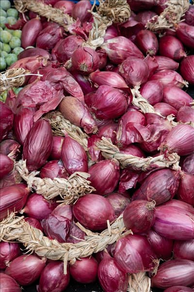 Stimmungsbild mit Allium cepa