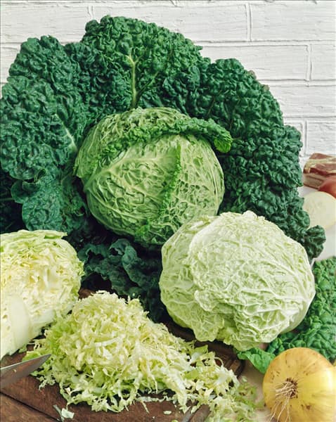 Brassica oleracea var. sabauda Eisenkopf