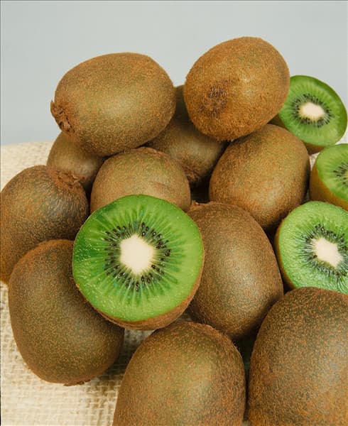 Actinidia deliciosa
