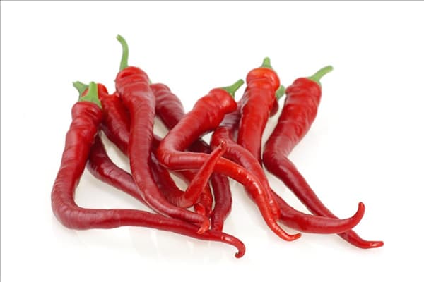 Capsicum annuum Sweet Cayenne