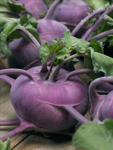 Brassica oleracea var. gongylodes Blaro