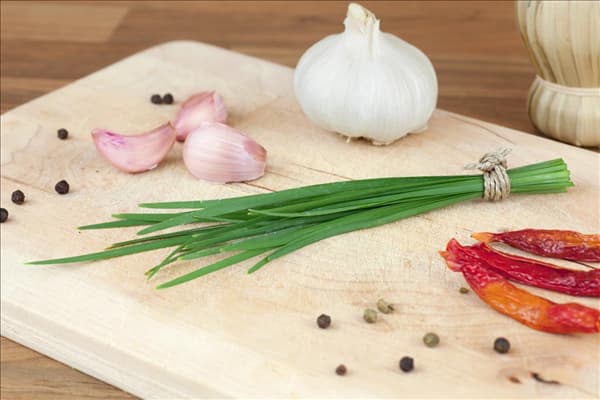 Allium tuberosum