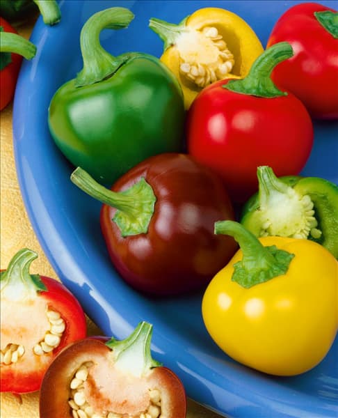 Paprika / Capsicum annuum cherry, mixed