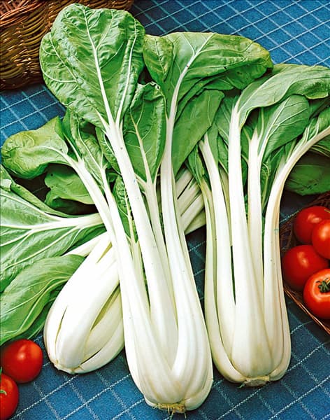 Brassica rapa ssp.chinensis Kwang Moon