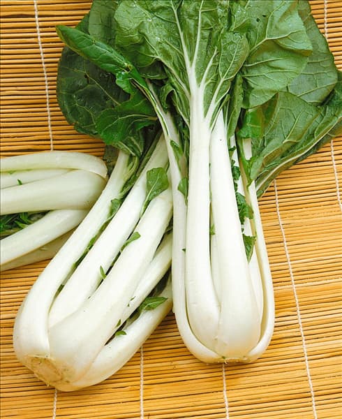 Brassica rapa ssp.chinensis Kwang Moon