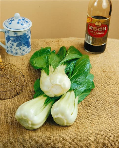 Buk-Choi/Brassica rapa ssp.chinensis SHANGHAI