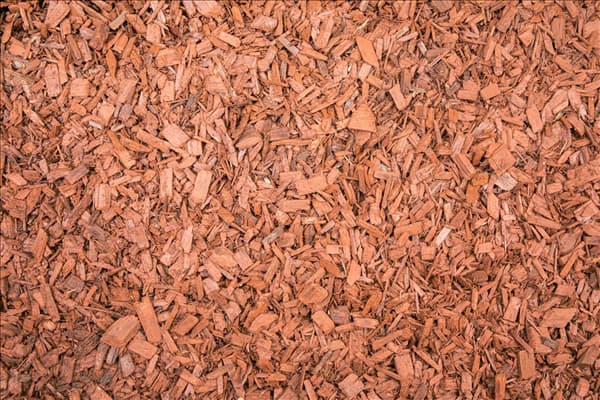 Farbiges Rindenmulch