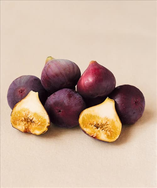Feige / Ficus carica Brown Turkey