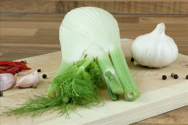 Foeniculum vulgare var. azoricum