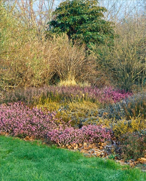 Heidegarten im Winter