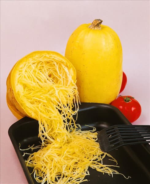 Zucchni / Cucurbita pepo con. giromontiina Spaghetti