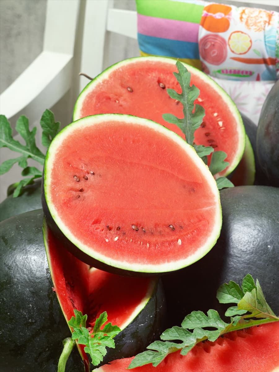Citrullus lanatus var. vulgaris Sugar Baby