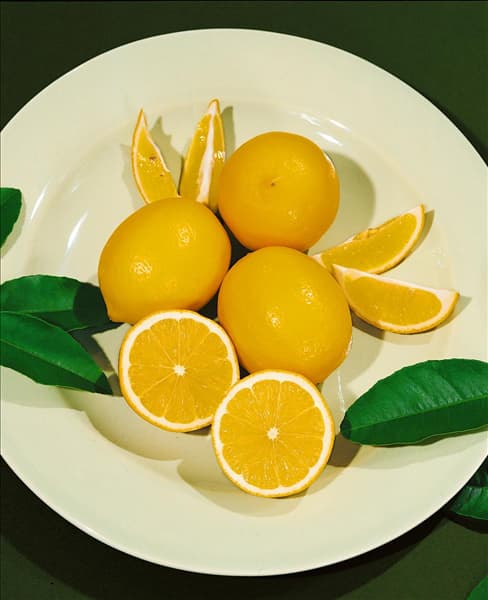 Zitrone / Citrus limon Meyer