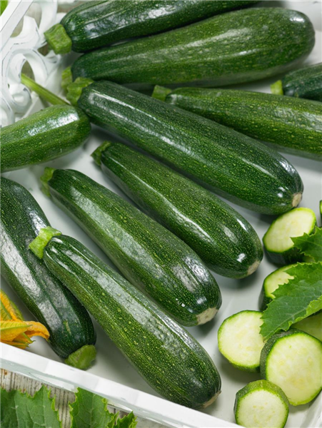 Cucurbita pepo con. giromontiina Defender