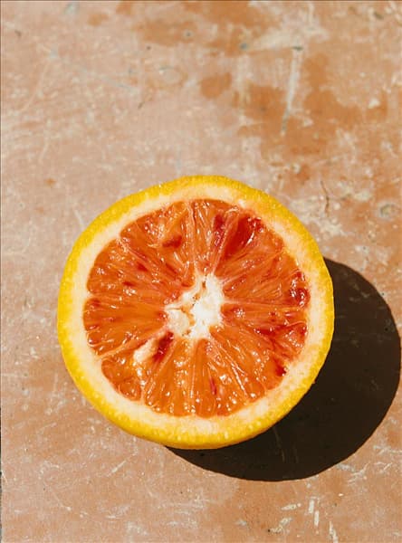 Orange / Citrus sinensis Sanguinello