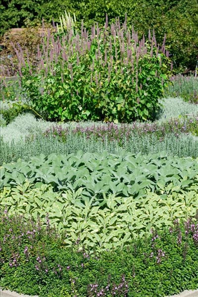 Kräutergarten