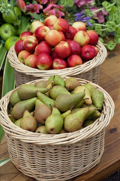 Birnen und Äpfel im Körben