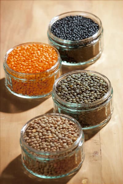 Lens culinaris