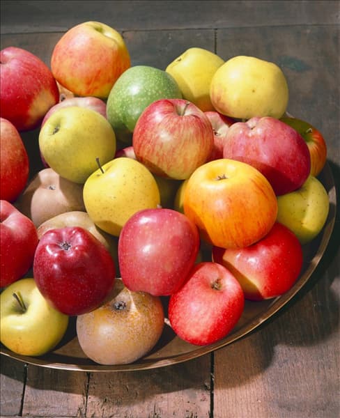 Äpfel Mischung