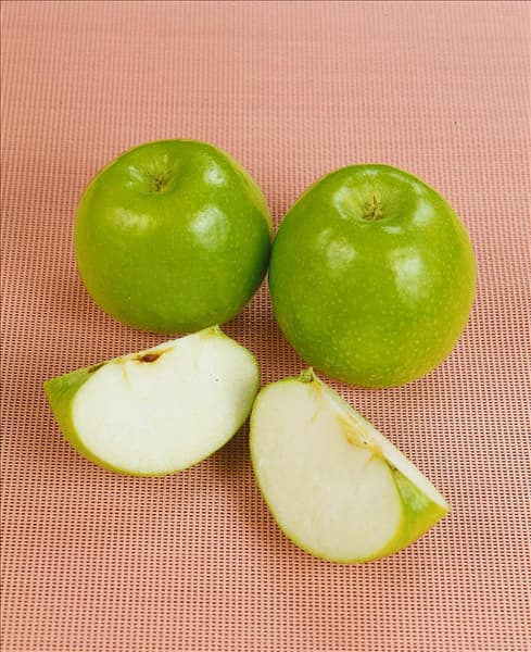 Malus domestica Granny Smith