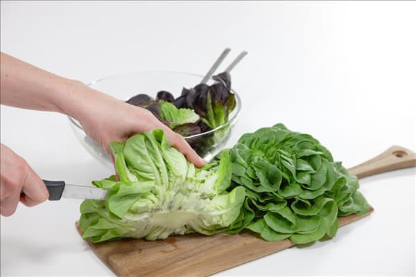 Lactuca sativa Salanova ® Salatzubereitung