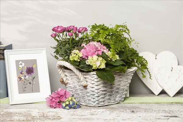 Deko mit Rosa, Hydrangea, Adiantum