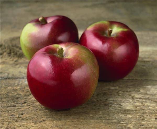 Malus domestica McIntosh auf Holzbrett