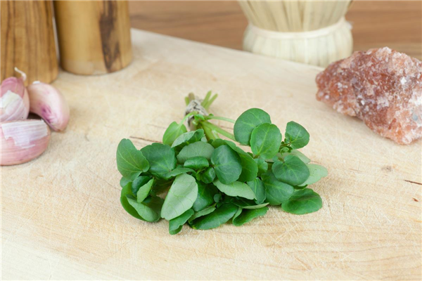 Nasturtium officinale