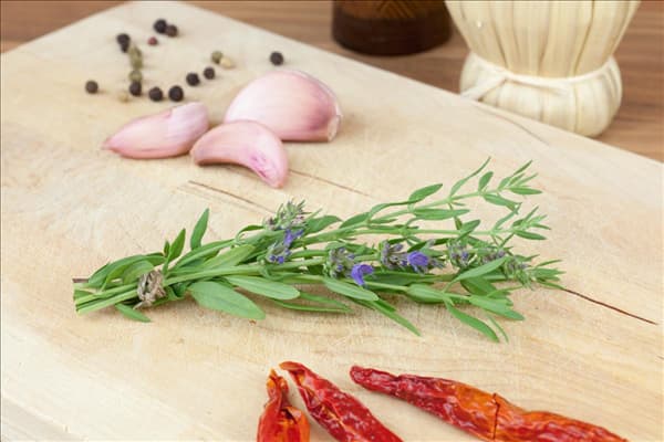 Hyssopus officinalis